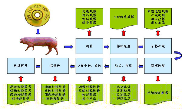 Ninetowns Internet Technology Group Company Limited 从软件外包到食品流通追溯的跨界转型之路